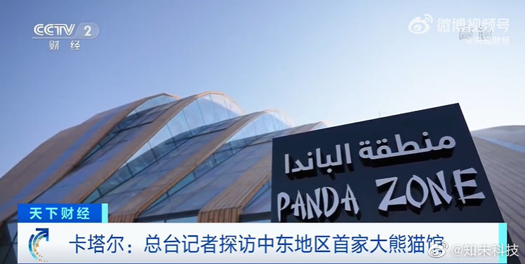 熊猫刚到国外迎接视频_卡塔尔迎接熊猫_熊猫熊猫熊猫英文歌
