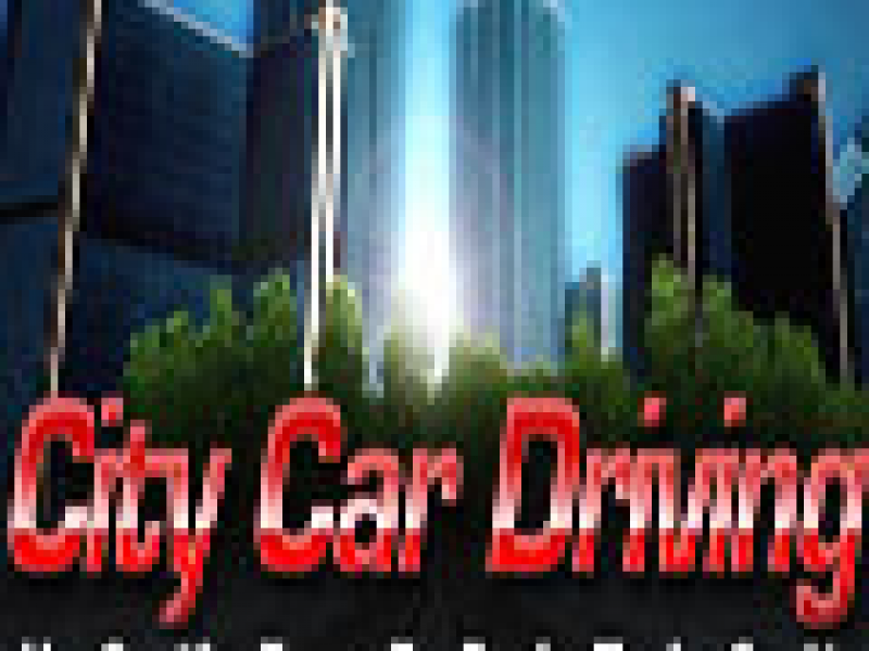 City Car Driving İ1.5.1