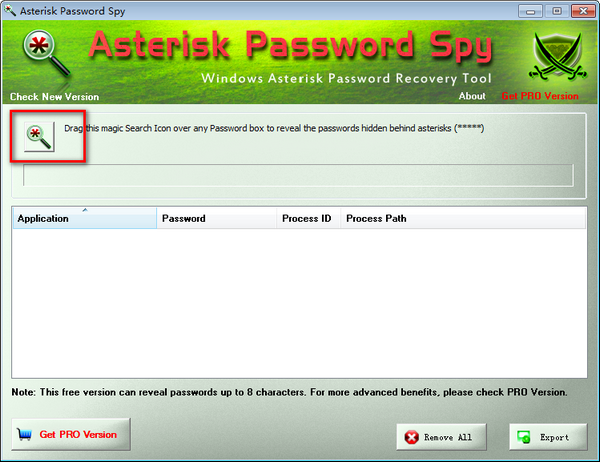 Asterisk Password Spy(Ǻ鿴)