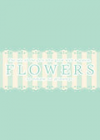 FLOWERS -Le volume sur printemps- Ӣİ