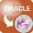OracleToAccess(OracleתAccess)