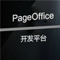 PageOffice for Java(Office)