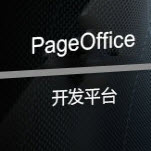pageoffice for java(רҵļ)