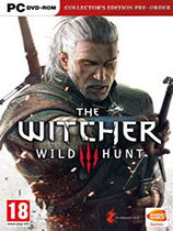 ʦ3ԣThe Witcher 3: Wild Hunt99.9%ʤMOD