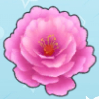 ĵ