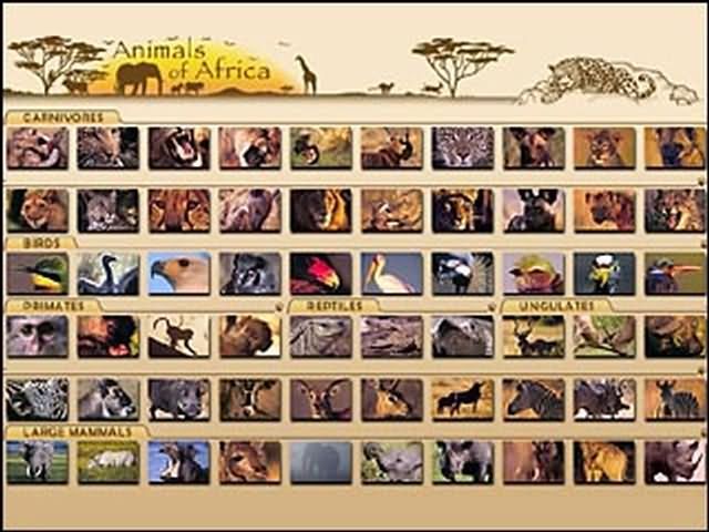 ޶ƴͼ(Animals of Africa)ͼ