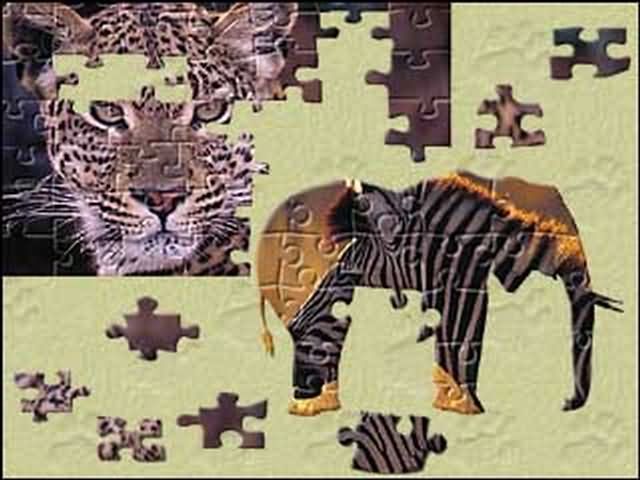 ޶ƴͼ(Animals of Africa)ͼ