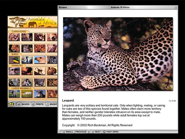 ޶ƴͼ(Animals of Africa)ͼ