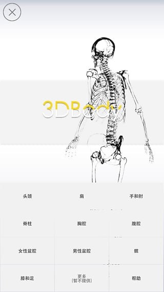3Dbodyʵ԰ͼ