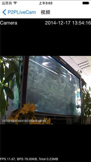 P2PLiveCam԰ͼ