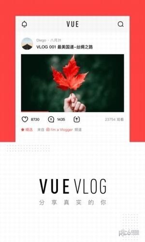 vue vlog԰ͼ