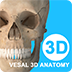 ά3Dʵ԰