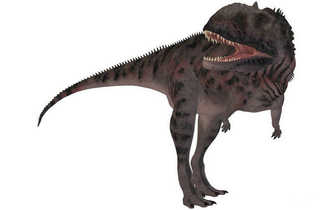 十大最强恐龙世界上第一厉害的恐龙世界上第一厉害的恐龙