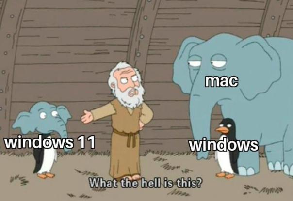 Win11ͼ Win11ͼ win11