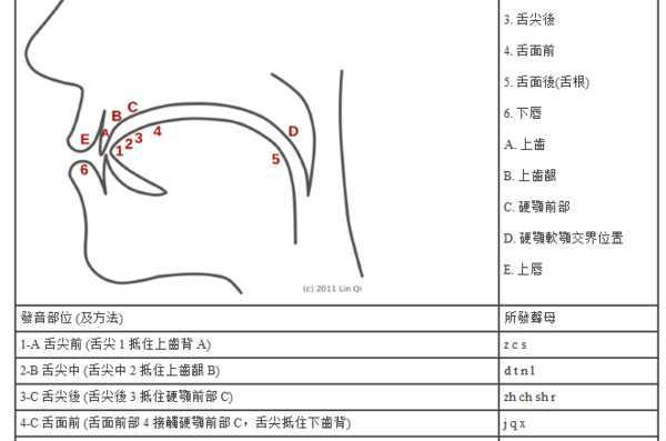 上齿背在哪个位置图片