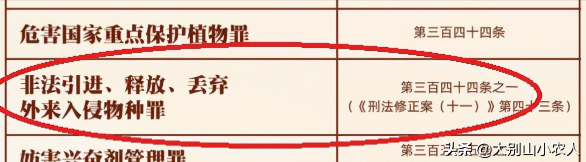 鳄雀鳝有可能会攻击人类是怎么回事，关于鳄雀鳝有可能会攻击人类吗的新消息。