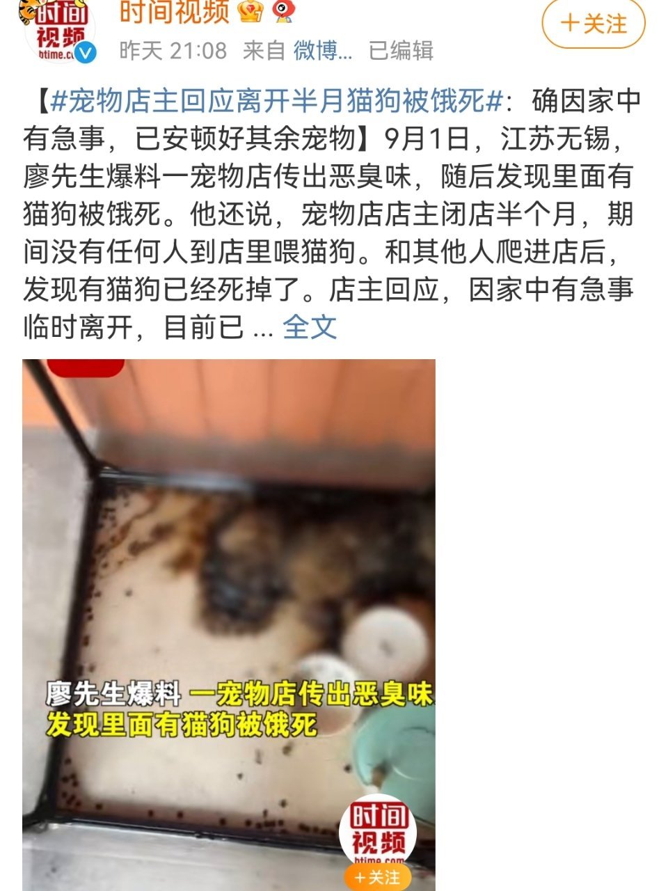 宠物店主回应离开半月猫狗被饿死猫咪走失一个月了会饿死吗宠物猫饿几