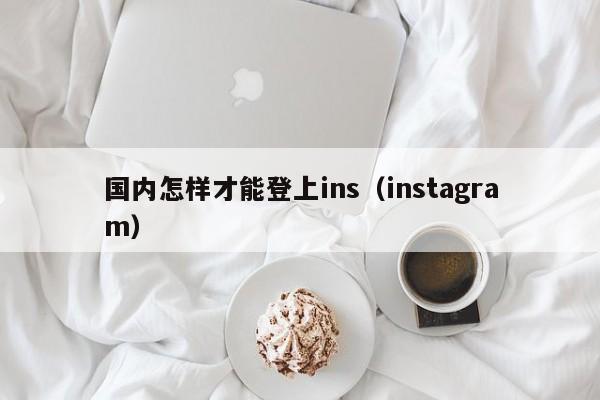 å›½å†…æ€Žæ æ‰ƒ½ç™»ä¸Šinsï¼ˆinstagramï¼‰