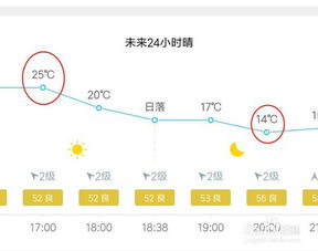 广东的天气乌龟怎样过冬