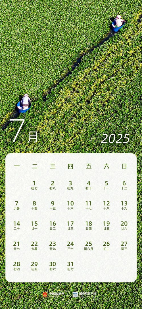 2025年什么时候过年_2024年大a过年休市时间