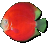 ๦ʱ