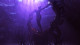 ڰ(Lust for Darkness)