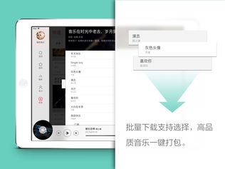 百度音乐HD