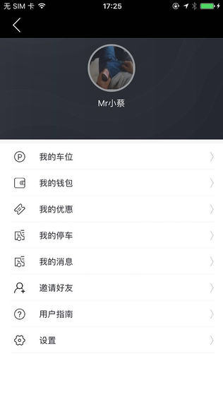 雪帕车位