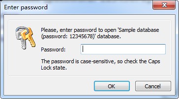 Password Manager XP()