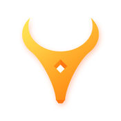 ţ