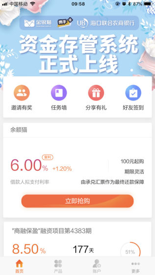 金银猫