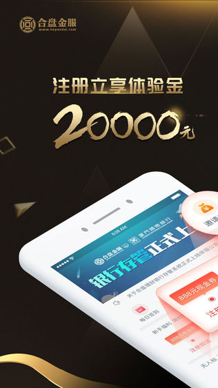 合盘金服