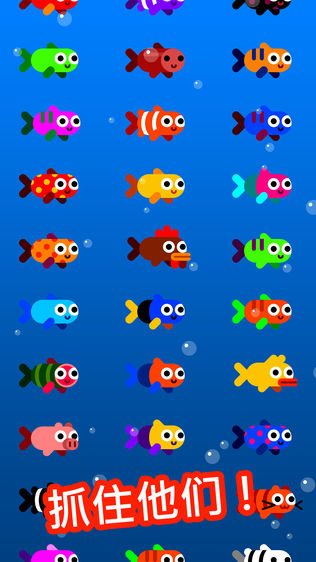 Fish & Trip