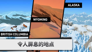 Snowboarding The Fourth Phase