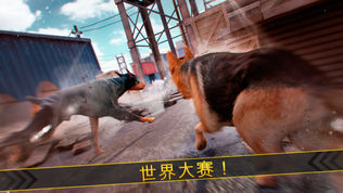 全民 狗狗游戏 . 我的 小 狗 赛跑 赛 免费 为 女孩