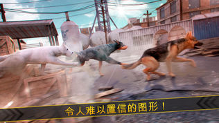 全民 狗狗游戏 . 我的 小 狗 赛跑 赛 免费 为 女孩