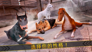 全民 狗狗游戏 . 我的 小 狗 赛跑 赛 免费 为 女孩