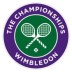 The Championships (Wimbledon 2013)