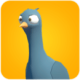 ʾ¼Pigeons Attack
