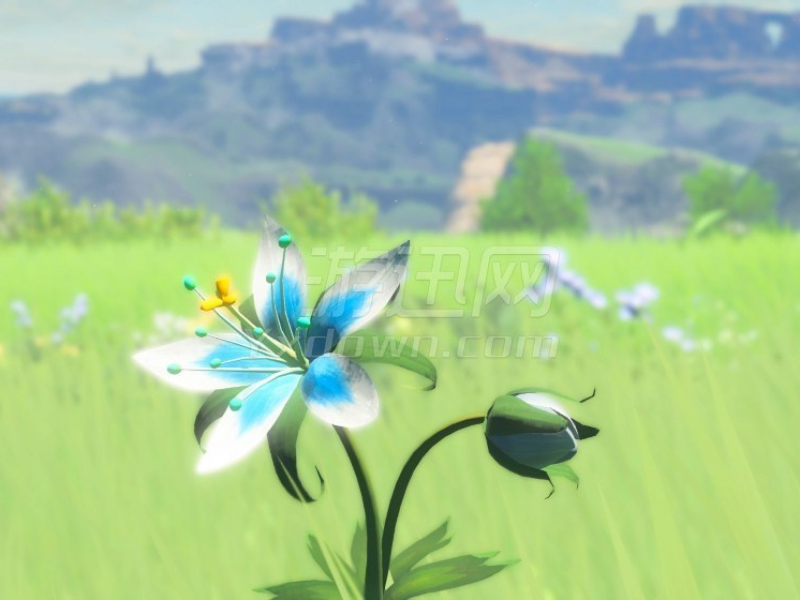 ﴫ˵Ұ֮Ϣ cemu1.9.0ͼ