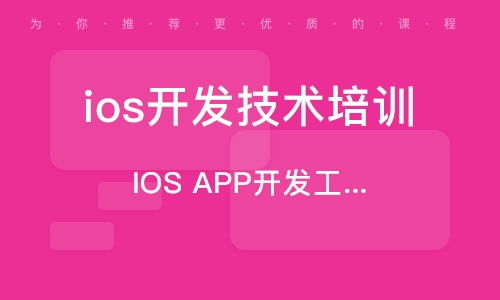 һĿʮѵapp
