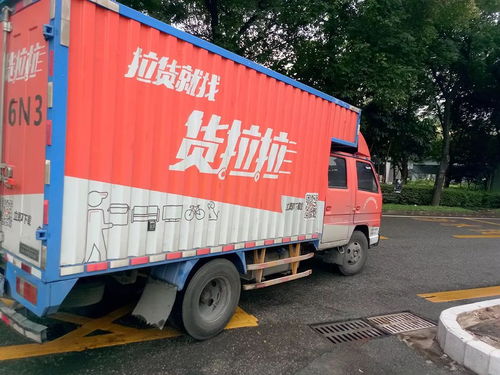 -2025ϼ