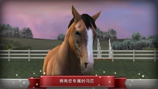 My Horseͼ0