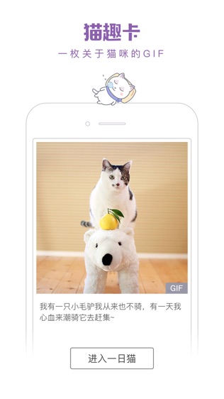 一日猫