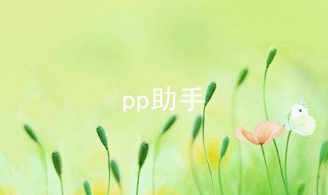 pp