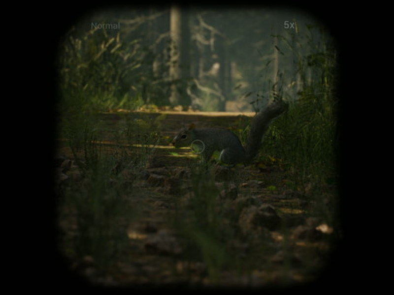 Morels: The Hunt İͼ