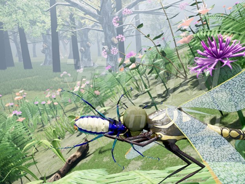 Drunk on Nectar Ӣİͼ