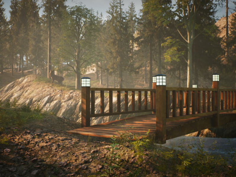 Morels: The Hunt İͼ