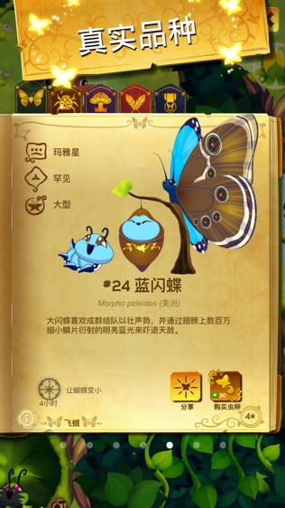 彩翼
