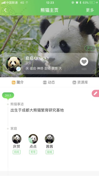 pandapia